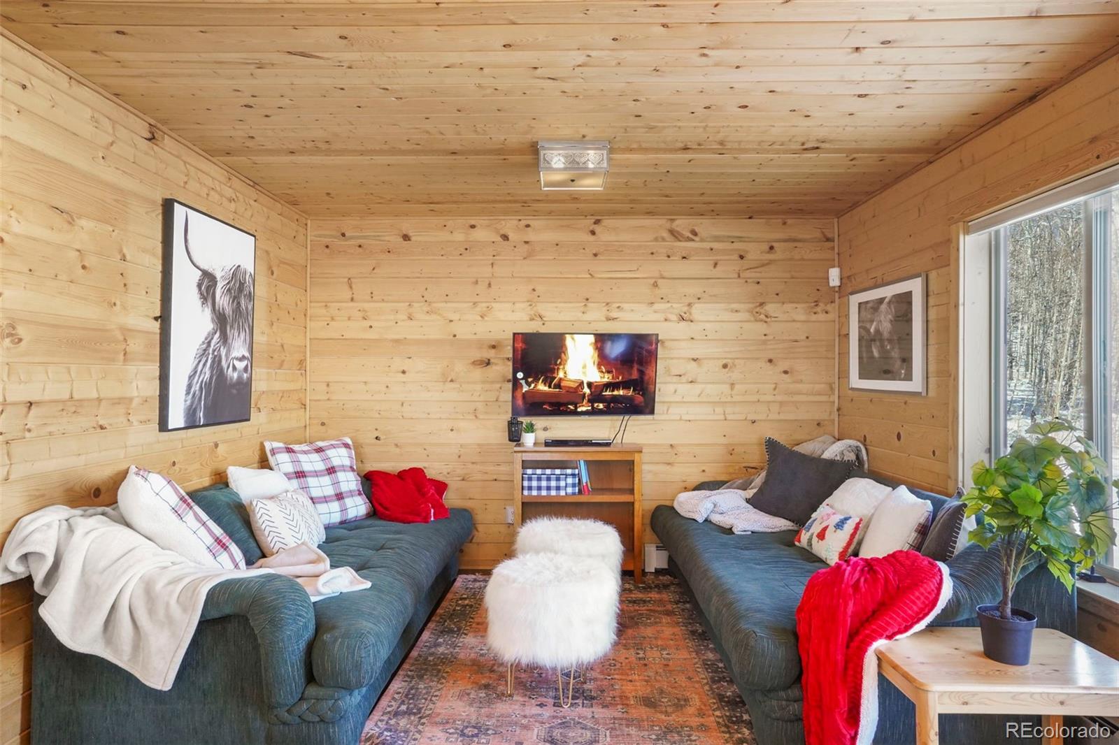 MLS Image #19 for 70  sheep creek trail,fairplay, Colorado