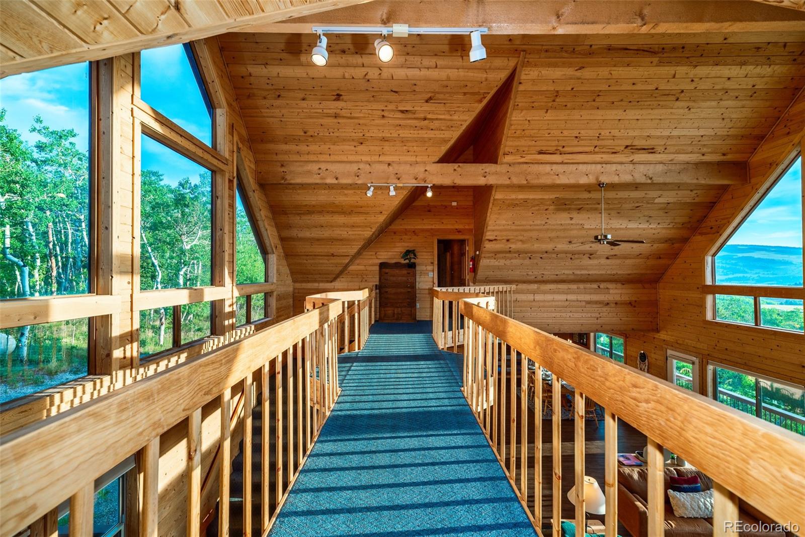MLS Image #30 for 70  sheep creek trail,fairplay, Colorado