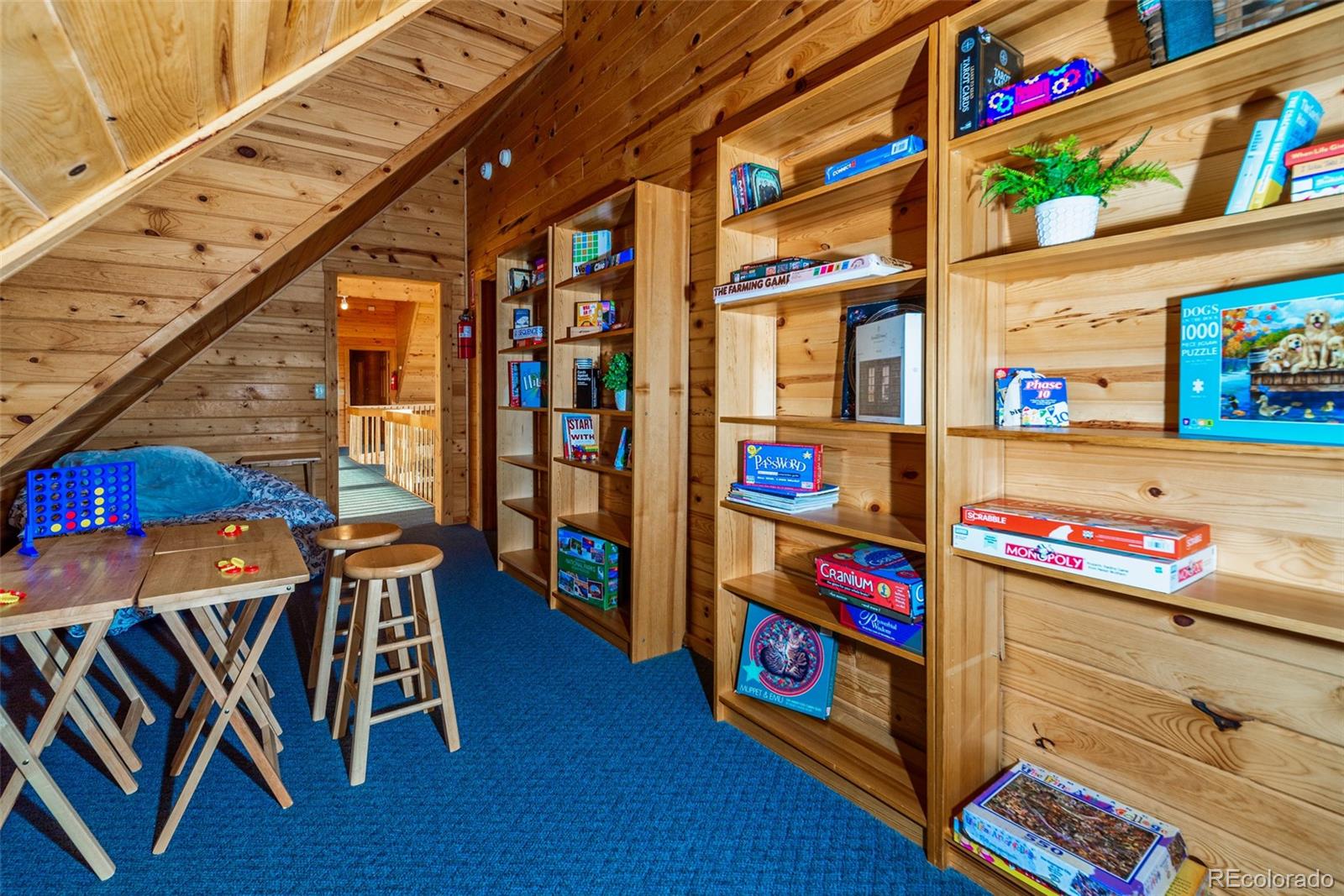 MLS Image #33 for 70  sheep creek trail,fairplay, Colorado