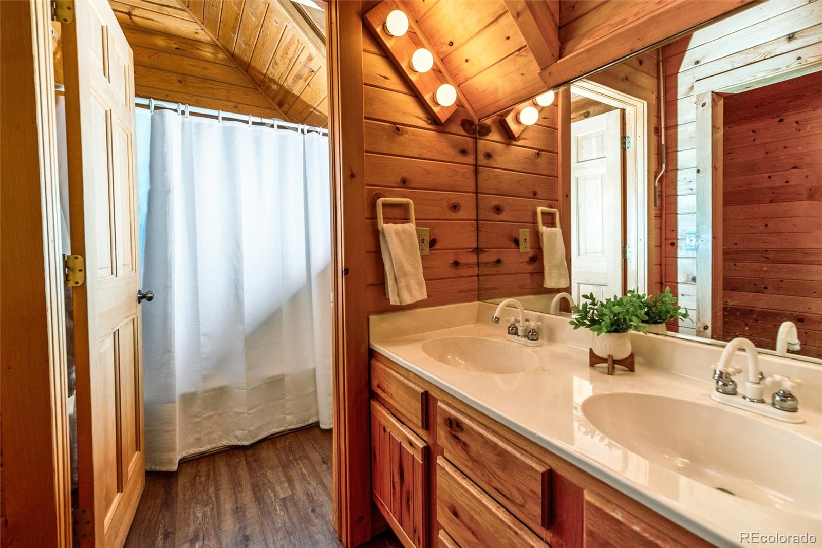 MLS Image #37 for 70  sheep creek trail,fairplay, Colorado