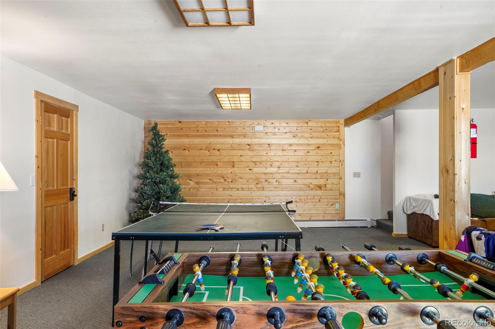 MLS Image #39 for 70  sheep creek trail,fairplay, Colorado