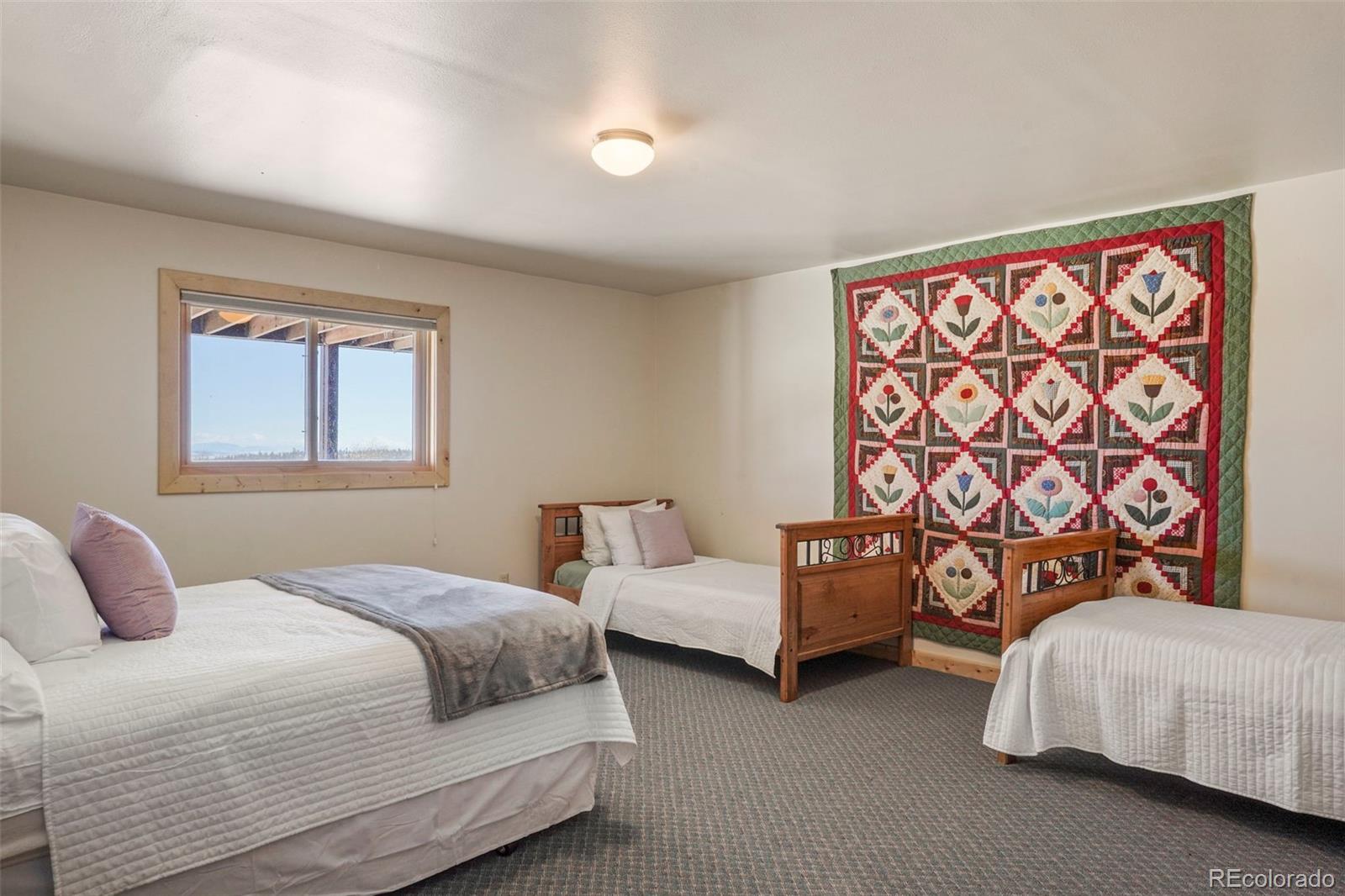MLS Image #41 for 70  sheep creek trail,fairplay, Colorado
