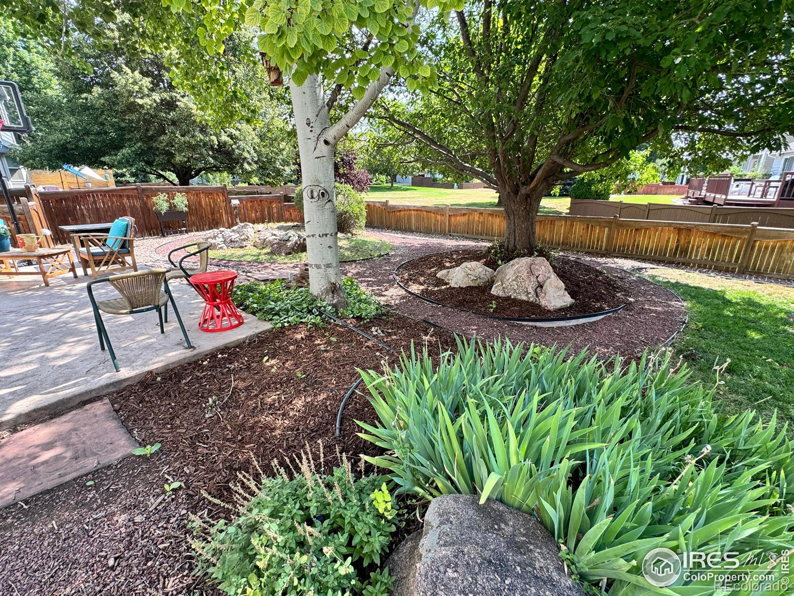 MLS Image #2 for 6836  timpas drive,fort collins, Colorado