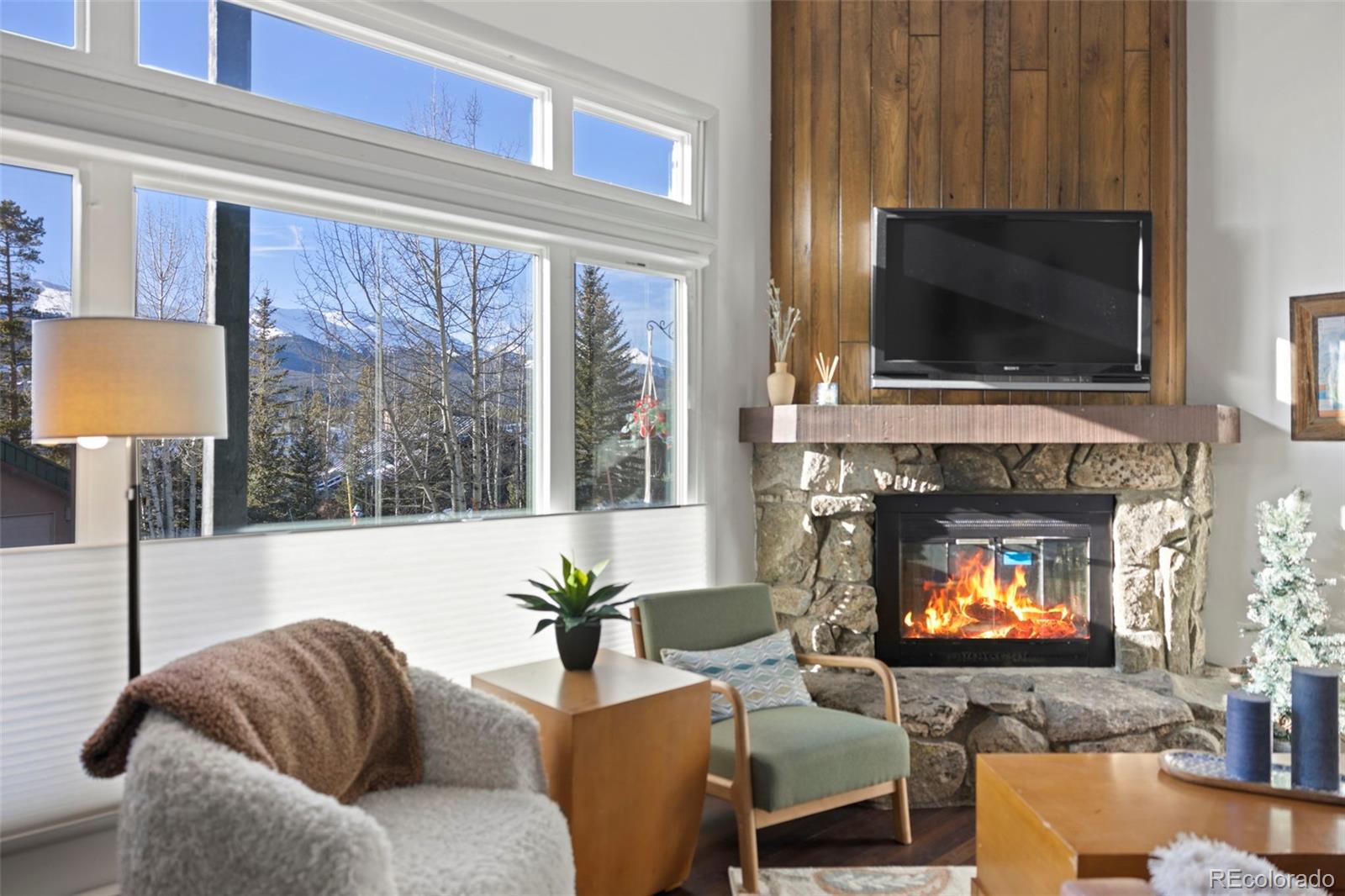 MLS Image #0 for 100 n gold flake terrace a,breckenridge, Colorado