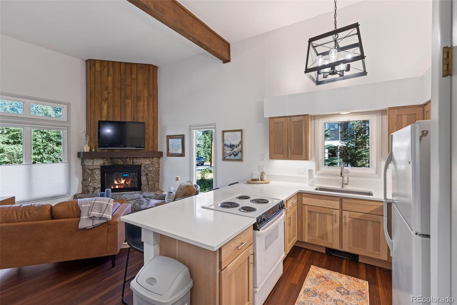 MLS Image #14 for 100 n gold flake terrace a,breckenridge, Colorado