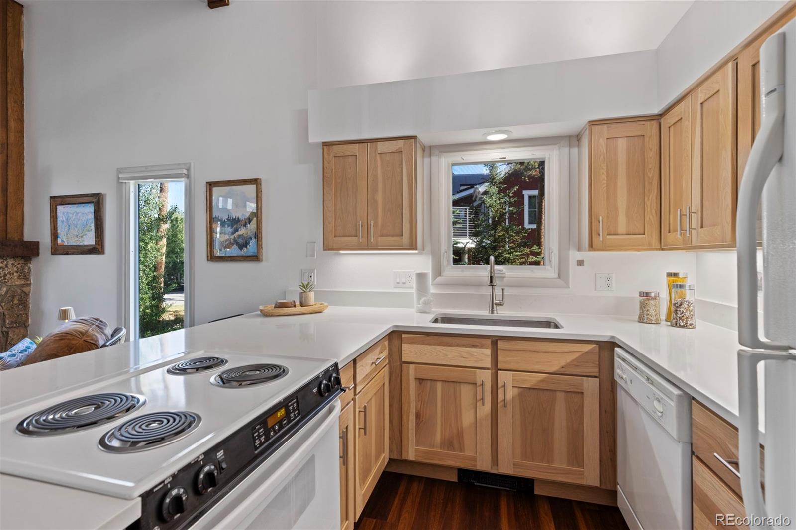 MLS Image #15 for 100 n gold flake terrace a,breckenridge, Colorado