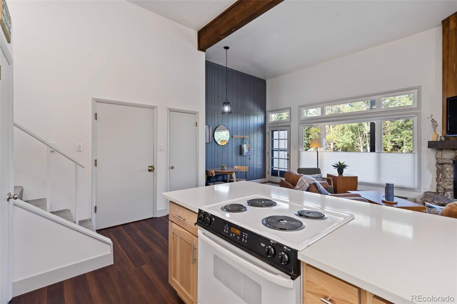 MLS Image #16 for 100 n gold flake terrace a,breckenridge, Colorado