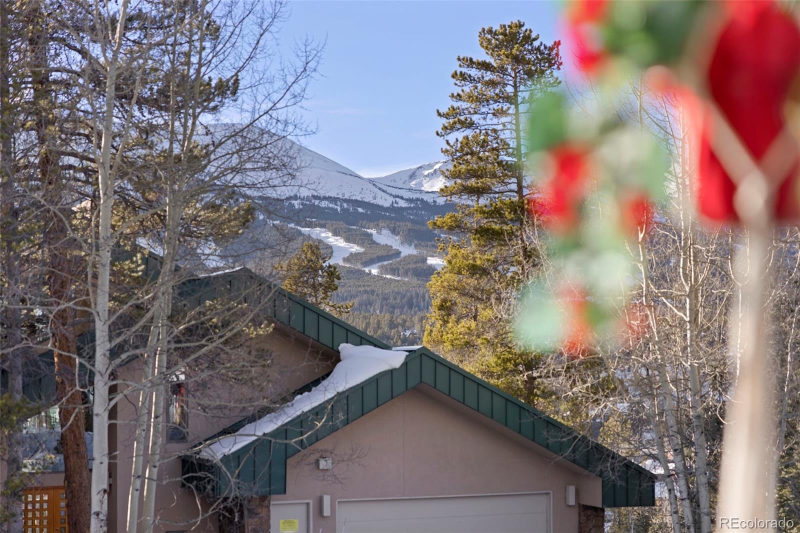 MLS Image #31 for 100 n gold flake terrace a,breckenridge, Colorado