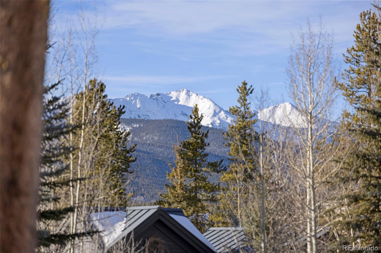 MLS Image #32 for 100 n gold flake terrace a,breckenridge, Colorado