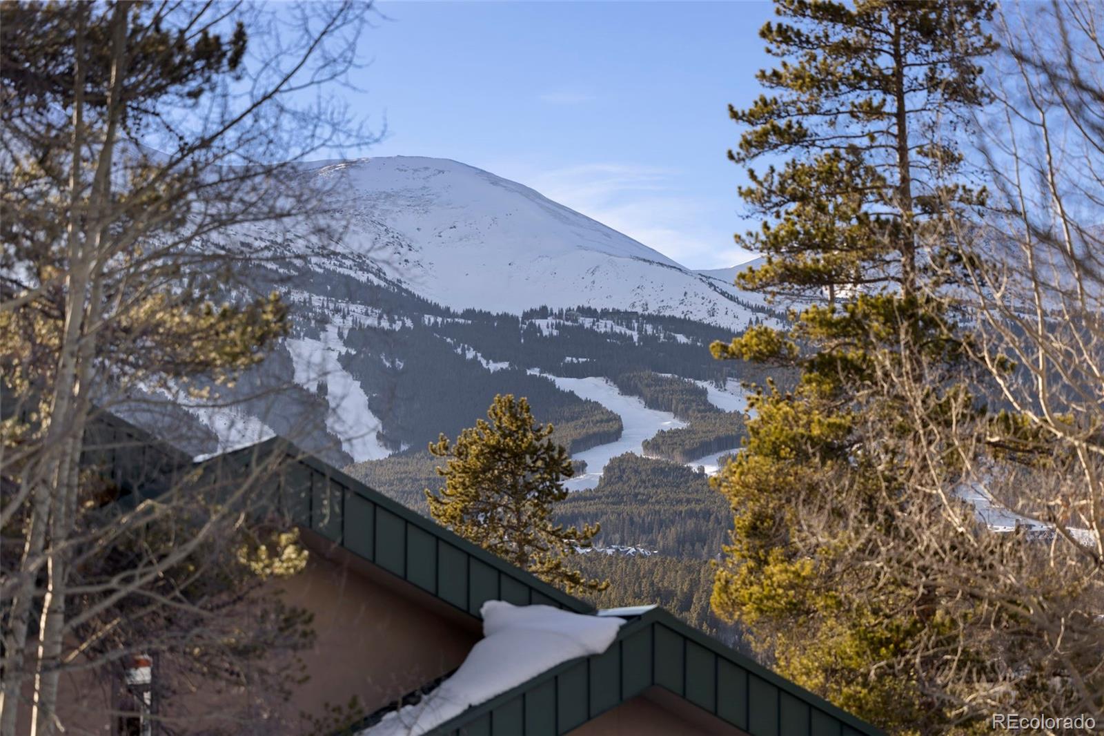 MLS Image #33 for 100 n gold flake terrace a,breckenridge, Colorado