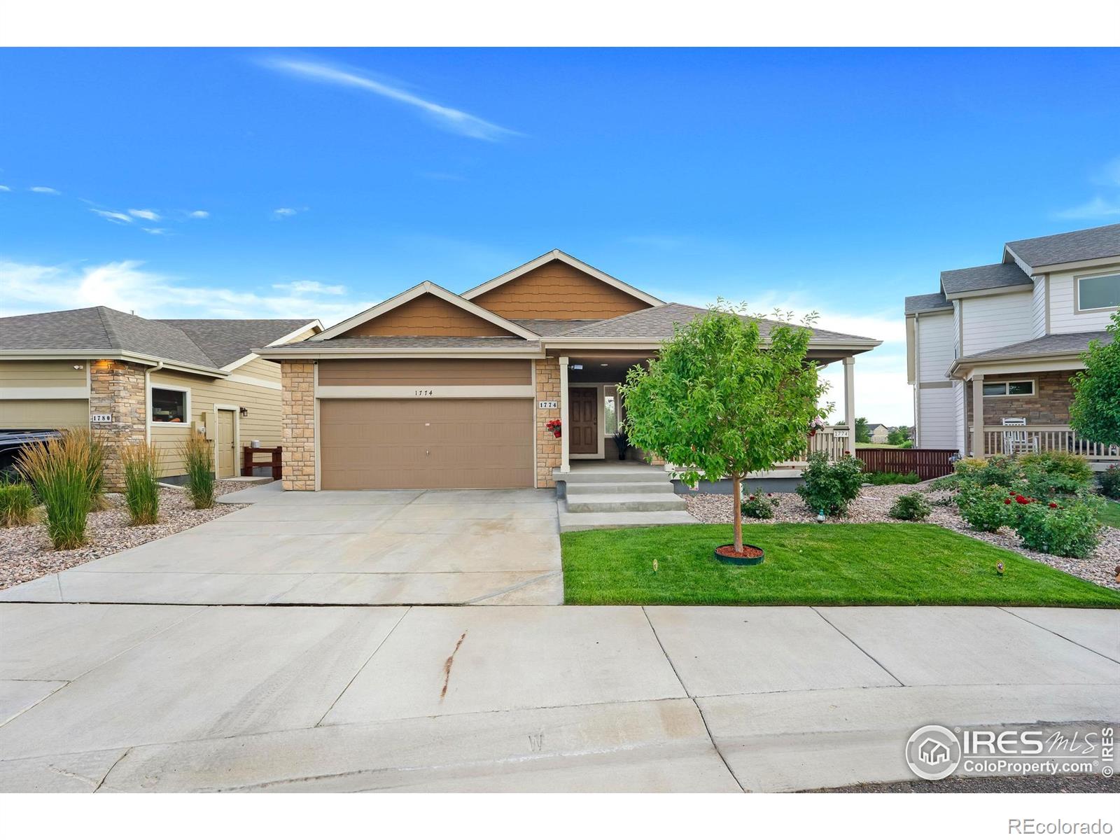 MLS Image #1 for 1774  thrive drive,windsor, Colorado