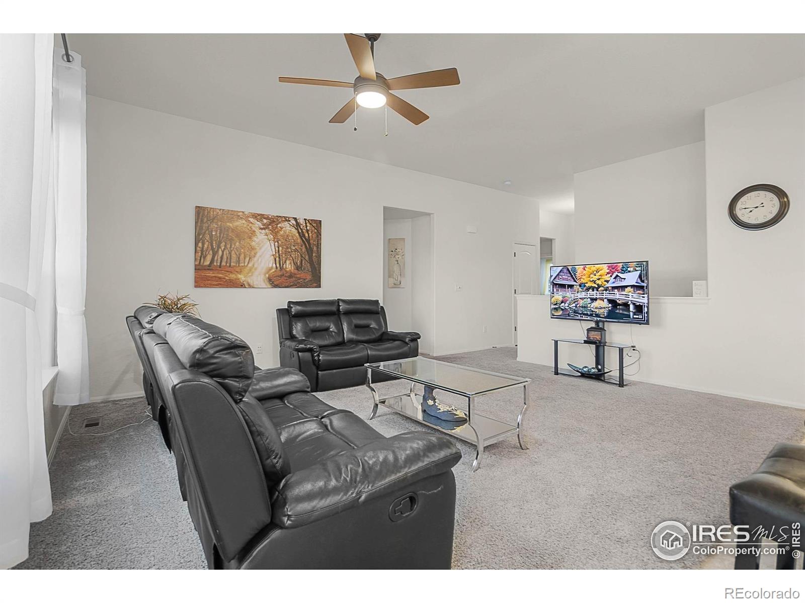 MLS Image #12 for 1774  thrive drive,windsor, Colorado