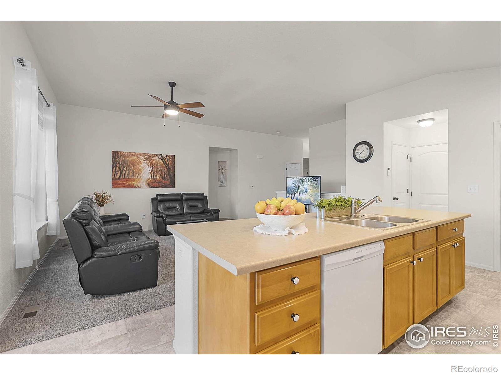 MLS Image #16 for 1774  thrive drive,windsor, Colorado