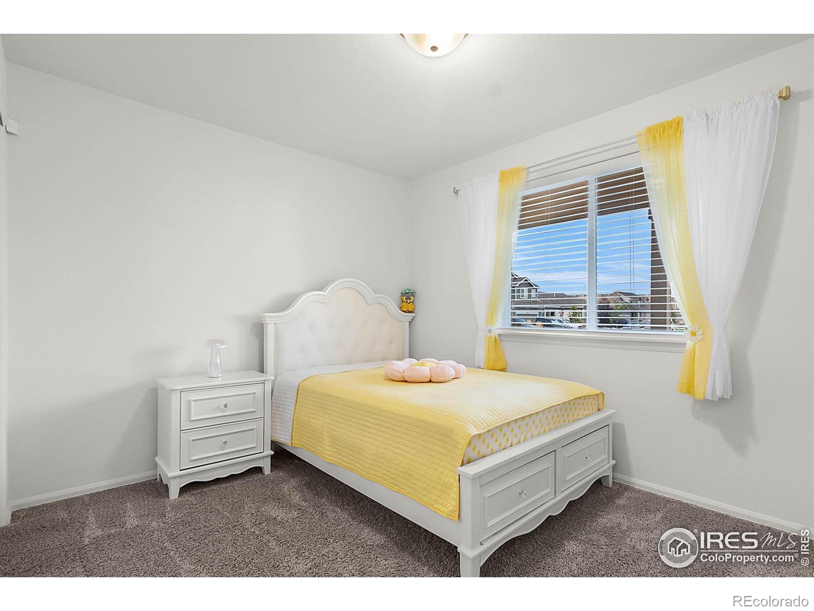 MLS Image #25 for 1774  thrive drive,windsor, Colorado