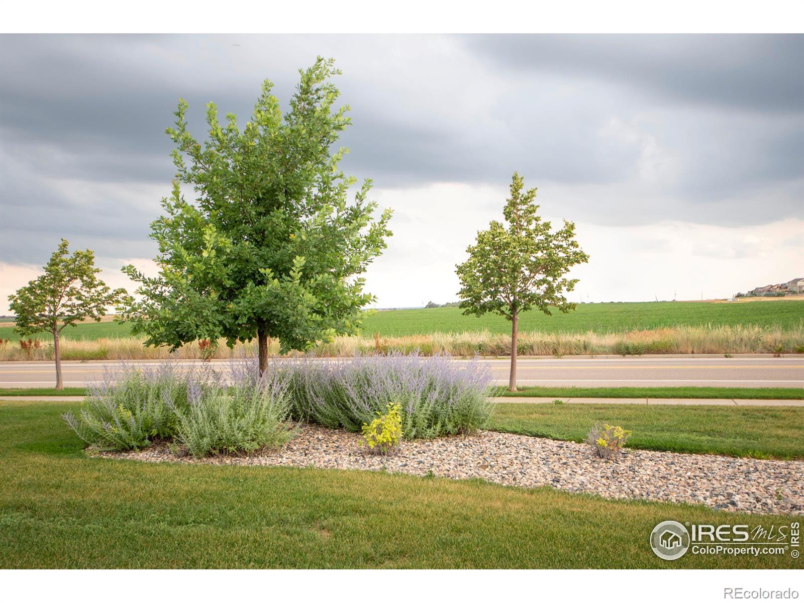 MLS Image #27 for 2421  sunbury lane,fort collins, Colorado