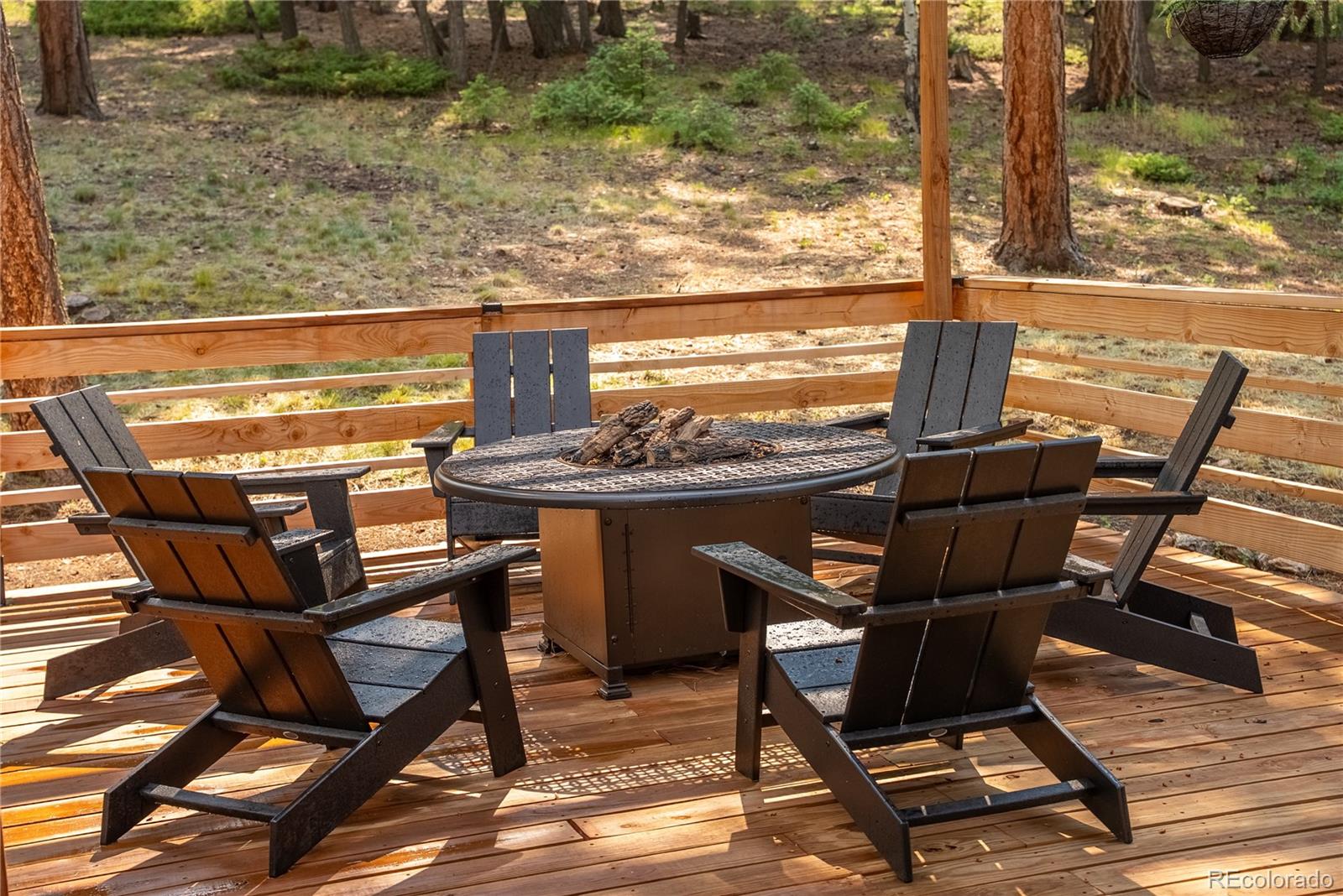 MLS Image #46 for 6549  modoc lane,evergreen, Colorado