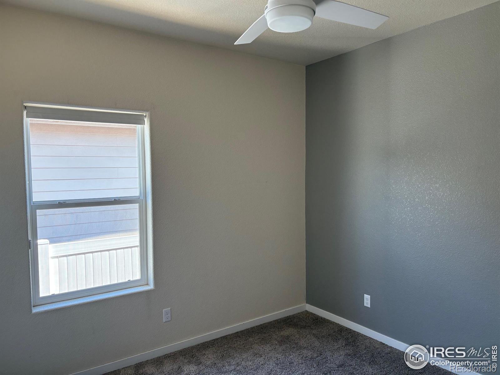 MLS Image #20 for 2968  hydra drive,loveland, Colorado