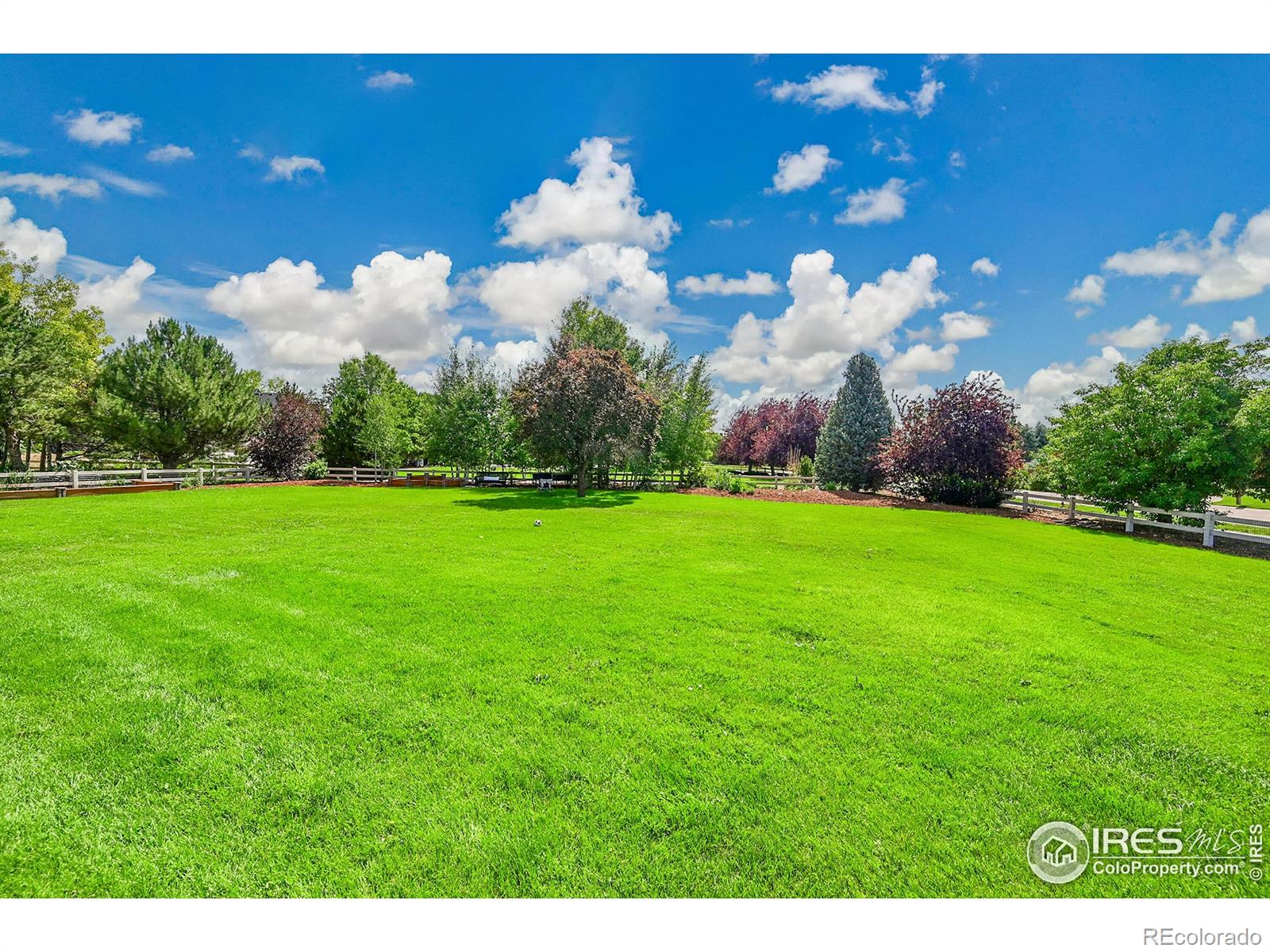 MLS Image #35 for 1115  kestrel road,eaton, Colorado