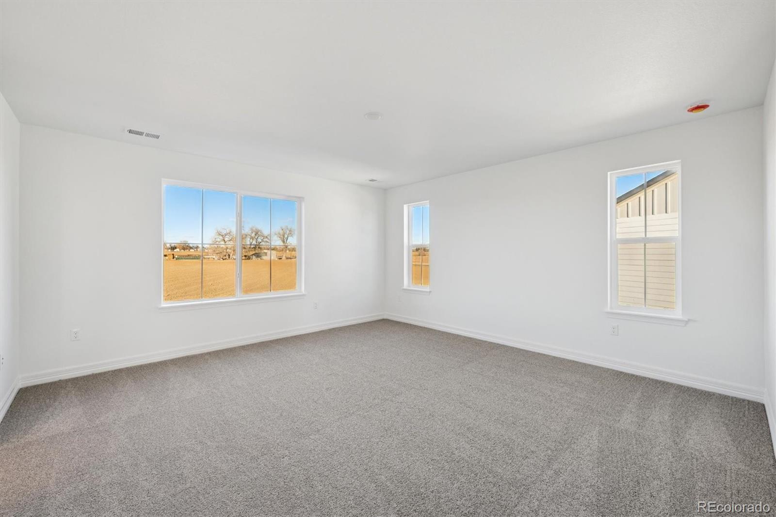 MLS Image #13 for 6120  oban road,timnath, Colorado