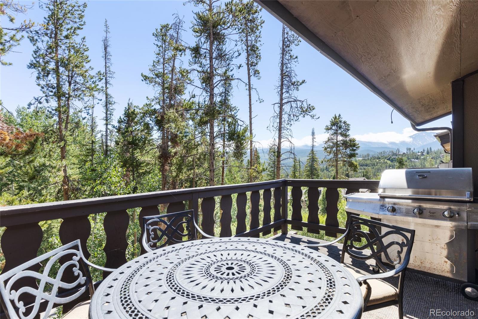 MLS Image #34 for 121  elk trail,winter park, Colorado