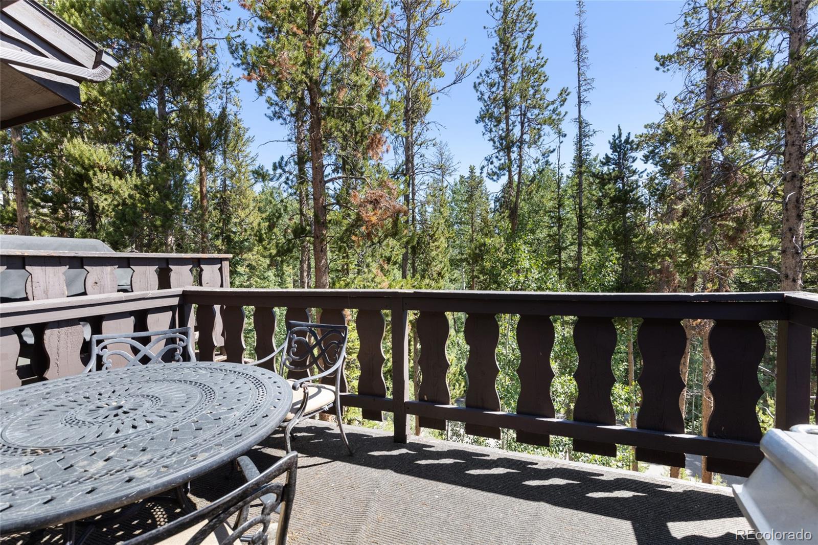 MLS Image #35 for 121  elk trail,winter park, Colorado