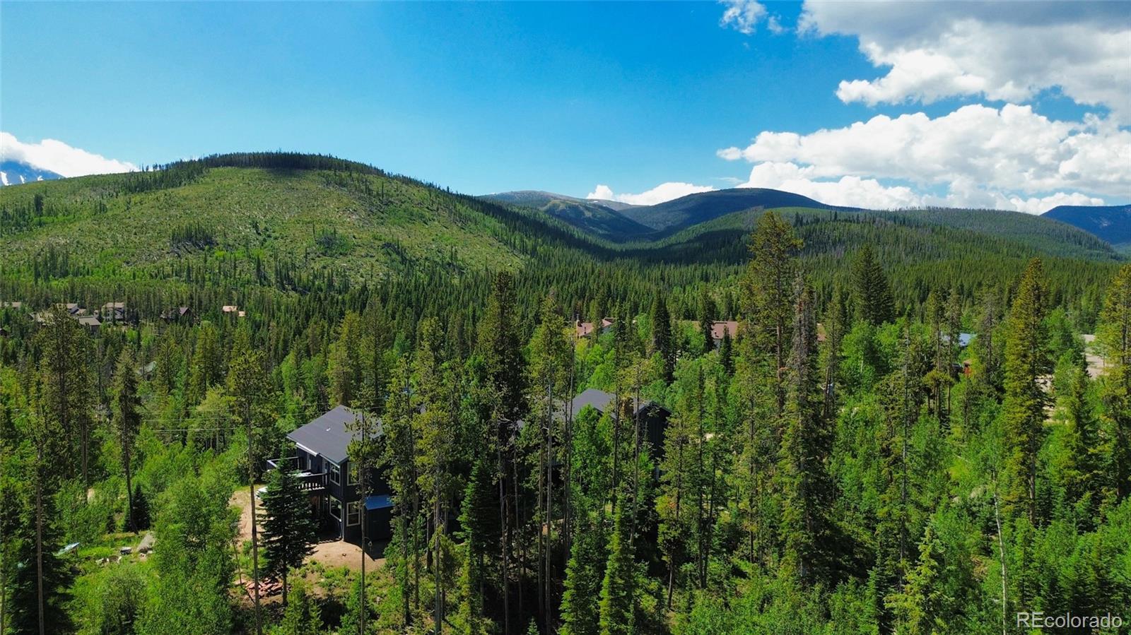 MLS Image #6 for 121  elk trail,winter park, Colorado