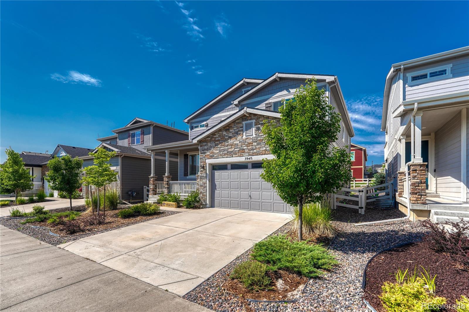 MLS Image #2 for 3945  john avenue,castle rock, Colorado