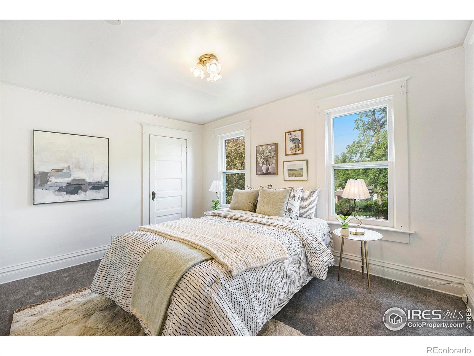 MLS Image #16 for 486 n corona street,denver, Colorado