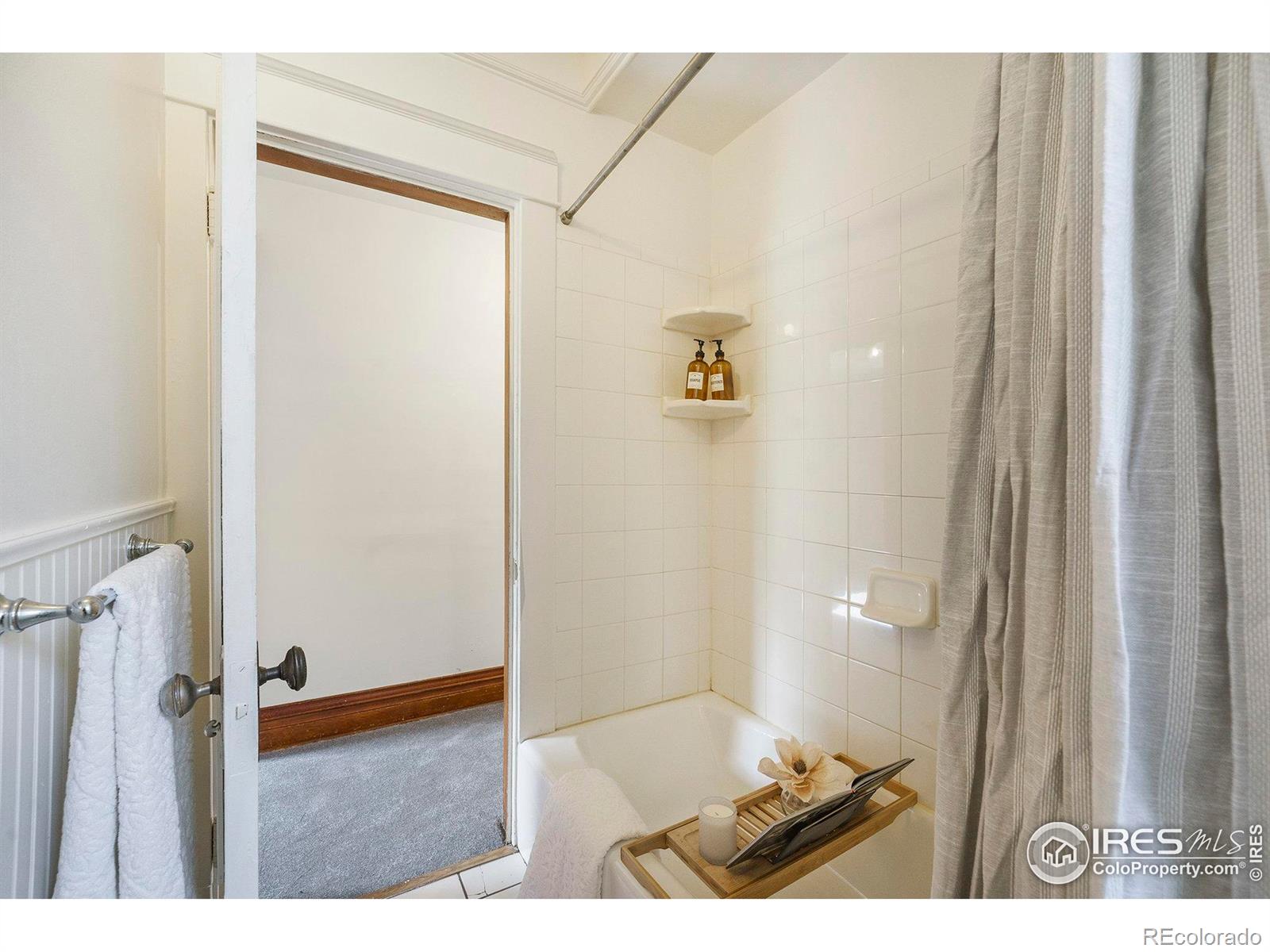 MLS Image #18 for 486 n corona street,denver, Colorado