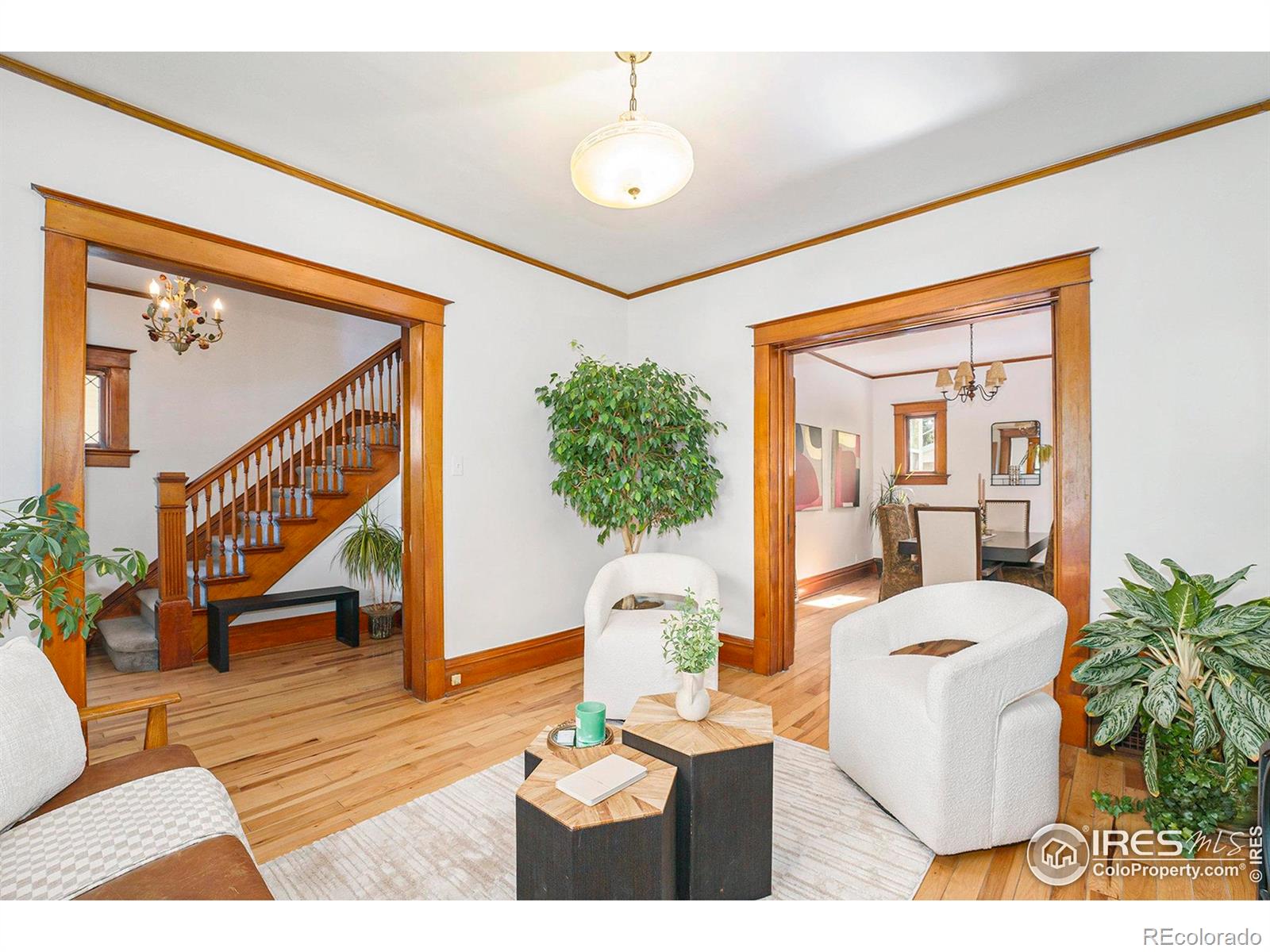 MLS Image #3 for 486 n corona street,denver, Colorado