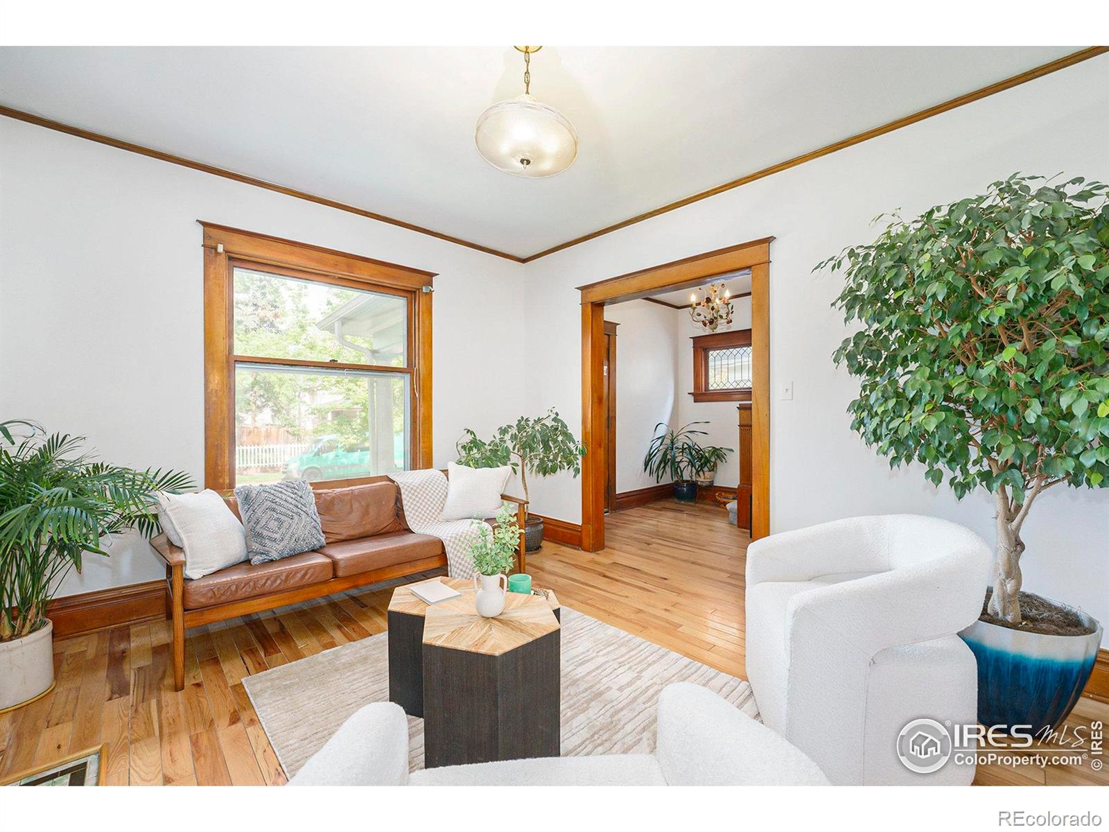 MLS Image #5 for 486 n corona street,denver, Colorado