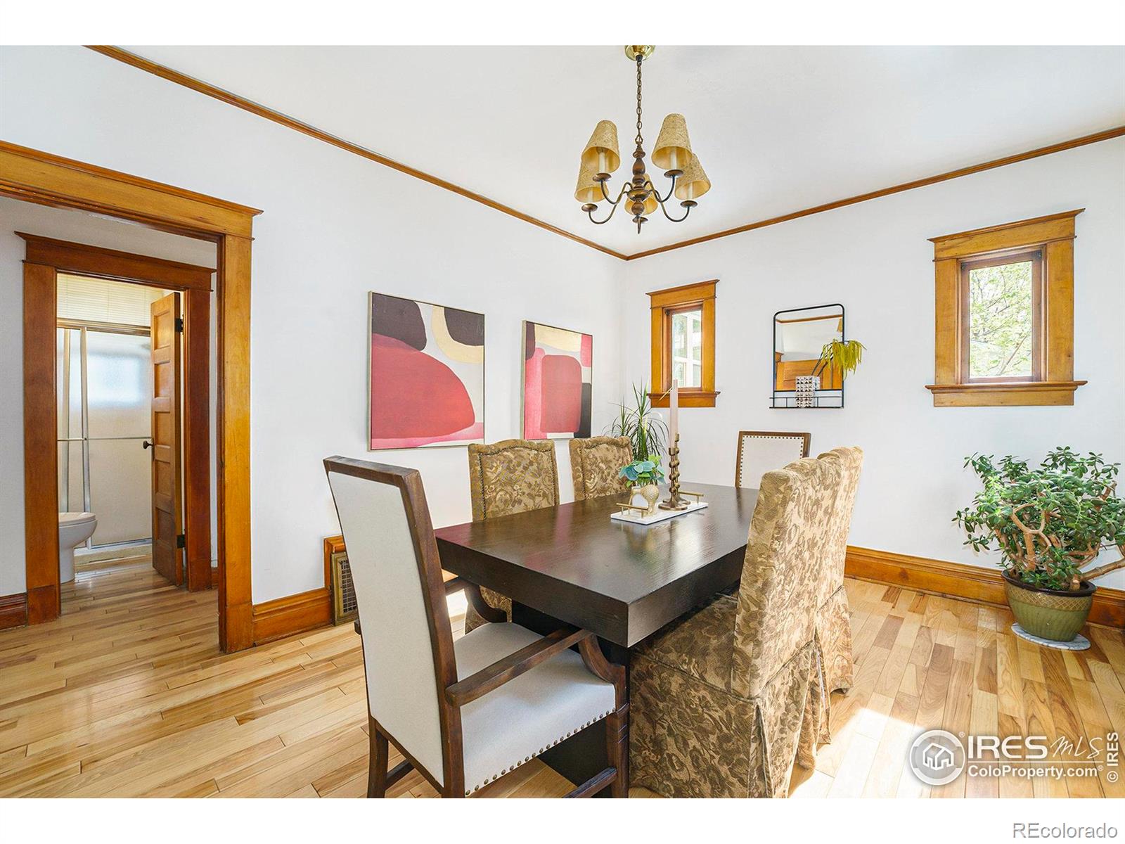 MLS Image #7 for 486 n corona street,denver, Colorado
