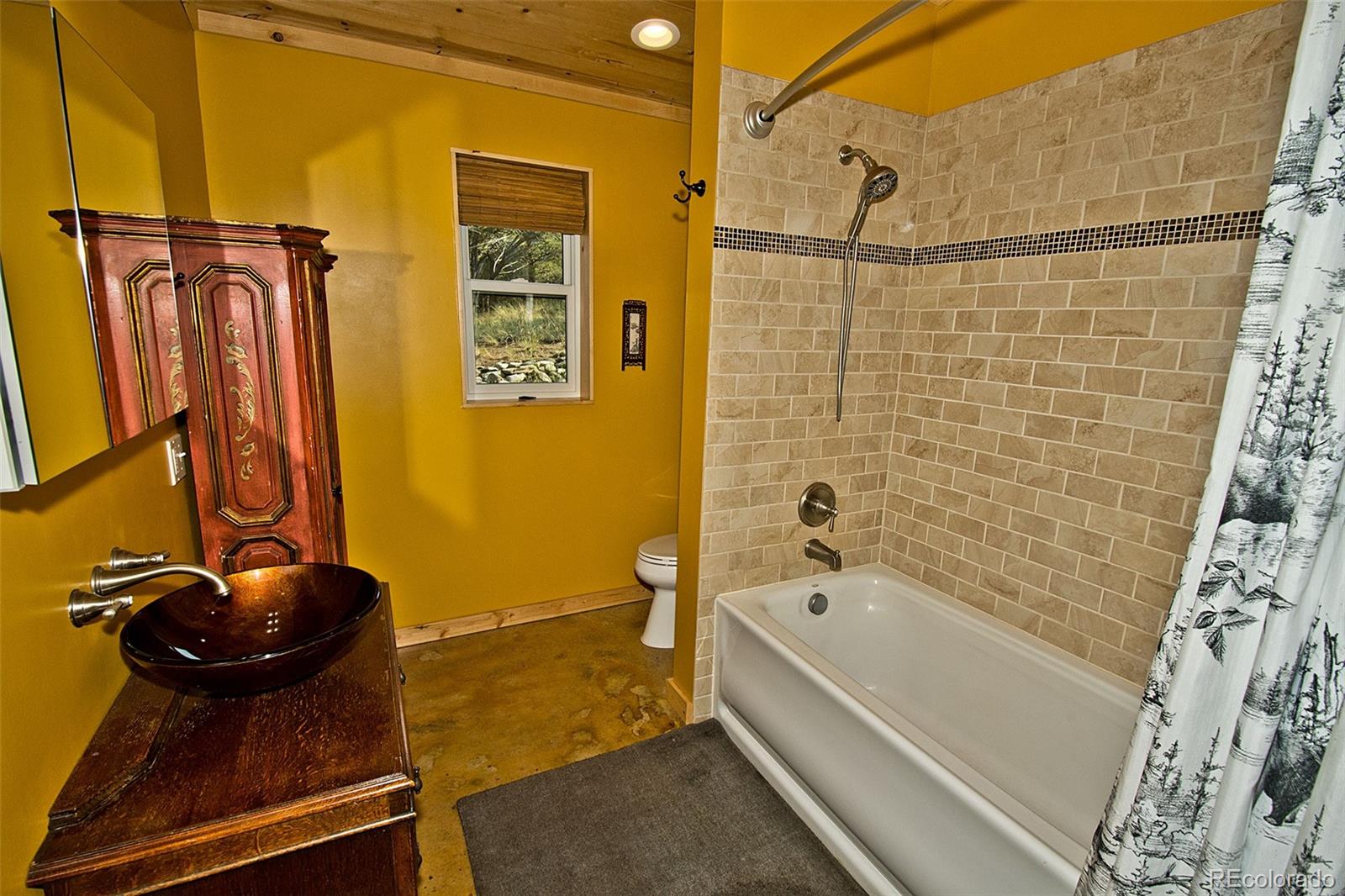 MLS Image #17 for 4363  camino baca grande ,crestone, Colorado