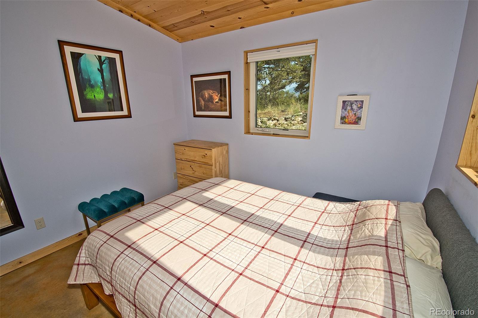 MLS Image #21 for 4363  camino baca grande ,crestone, Colorado