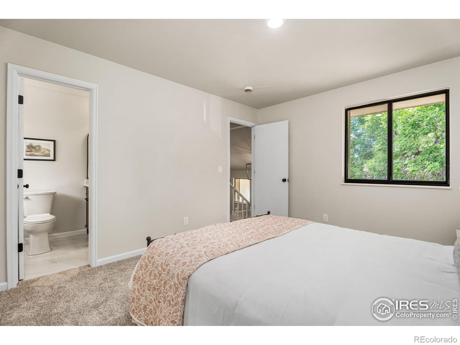MLS Image #17 for 512 e 41st street,loveland, Colorado
