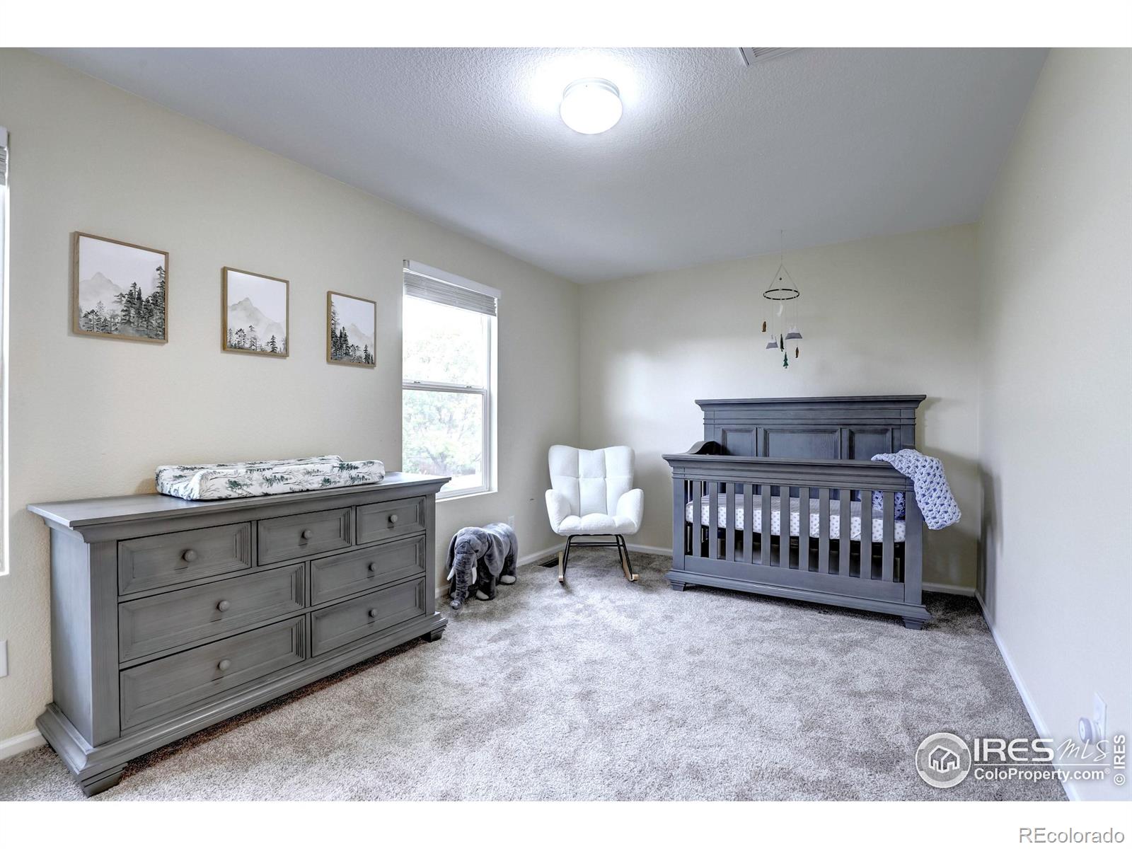 MLS Image #14 for 10413  durango place,longmont, Colorado