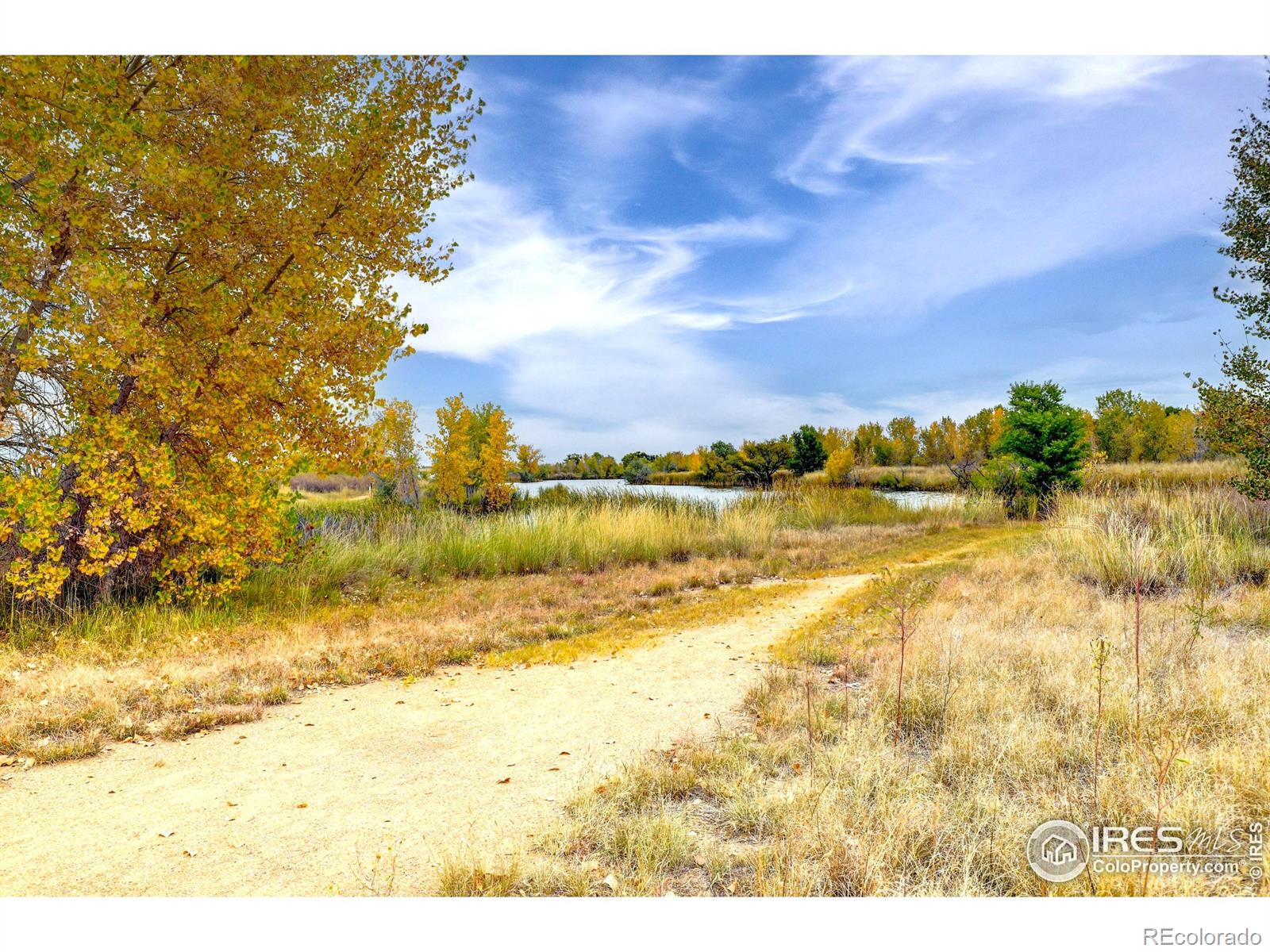 MLS Image #24 for 10413  durango place,longmont, Colorado