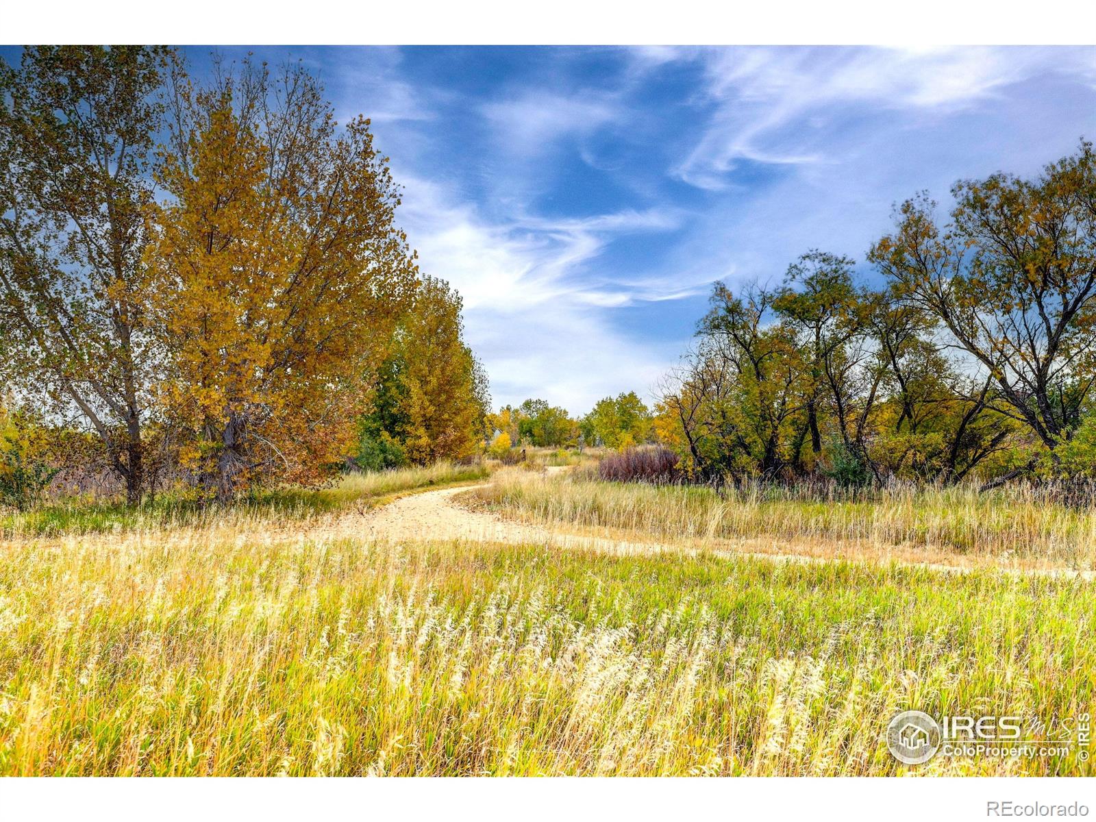 MLS Image #25 for 10413  durango place,longmont, Colorado