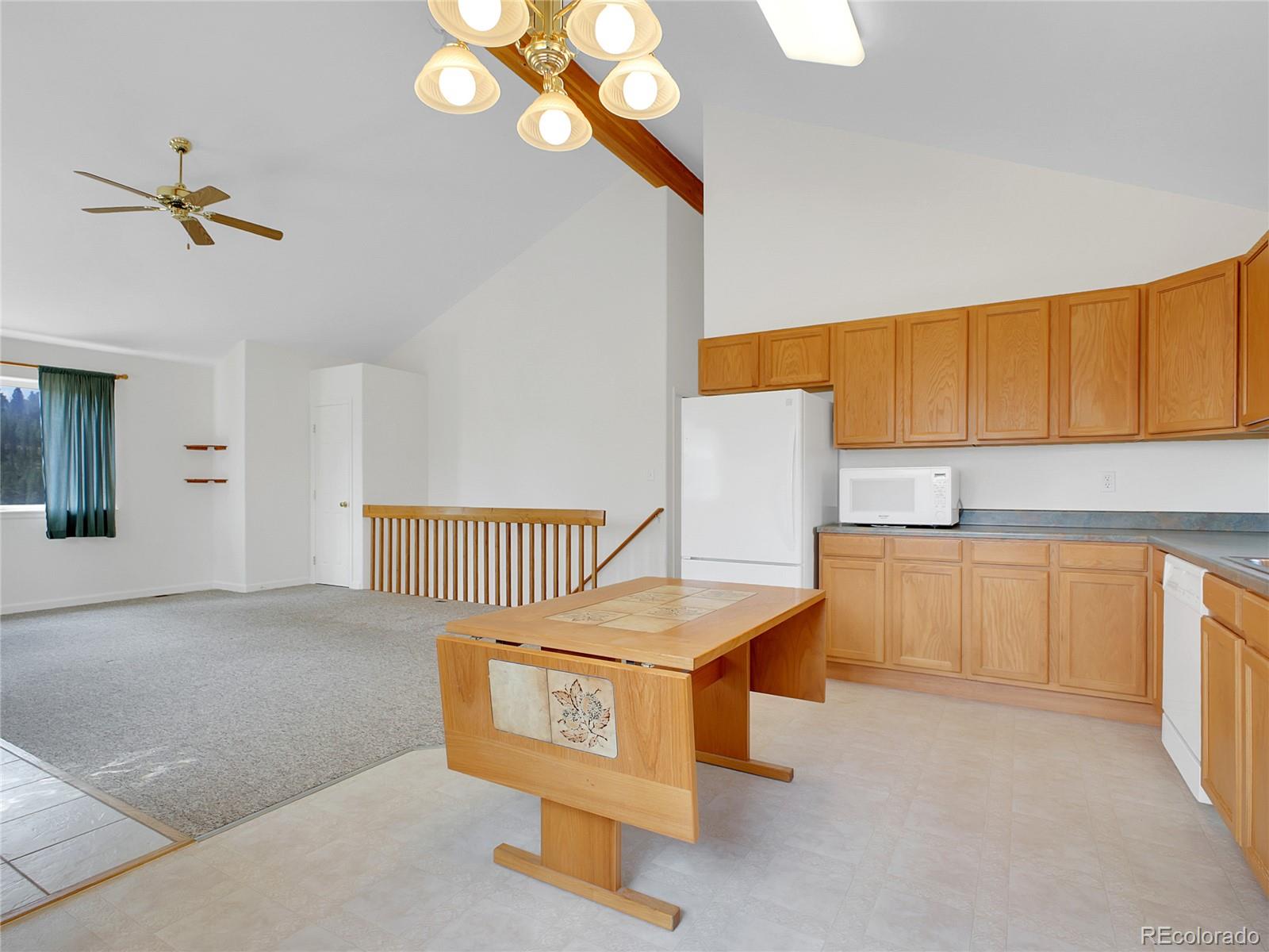 MLS Image #11 for 367  moore street,bailey, Colorado
