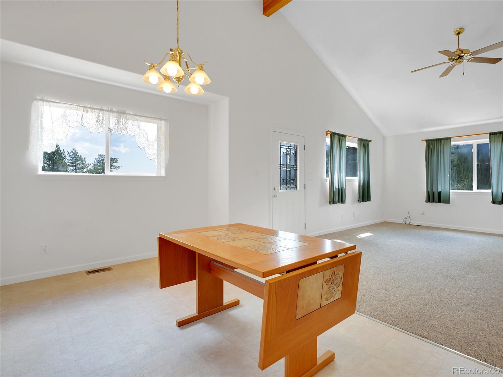 MLS Image #12 for 367  moore street,bailey, Colorado