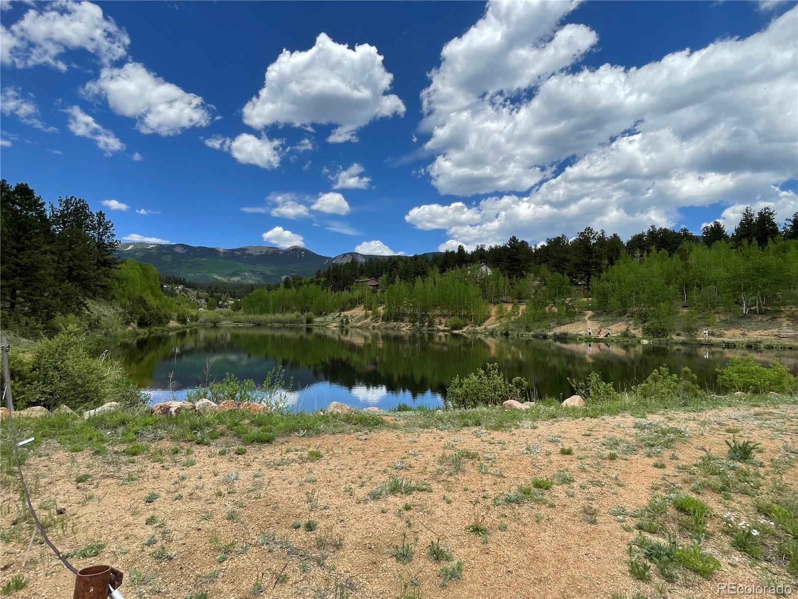 MLS Image #31 for 367  moore street,bailey, Colorado