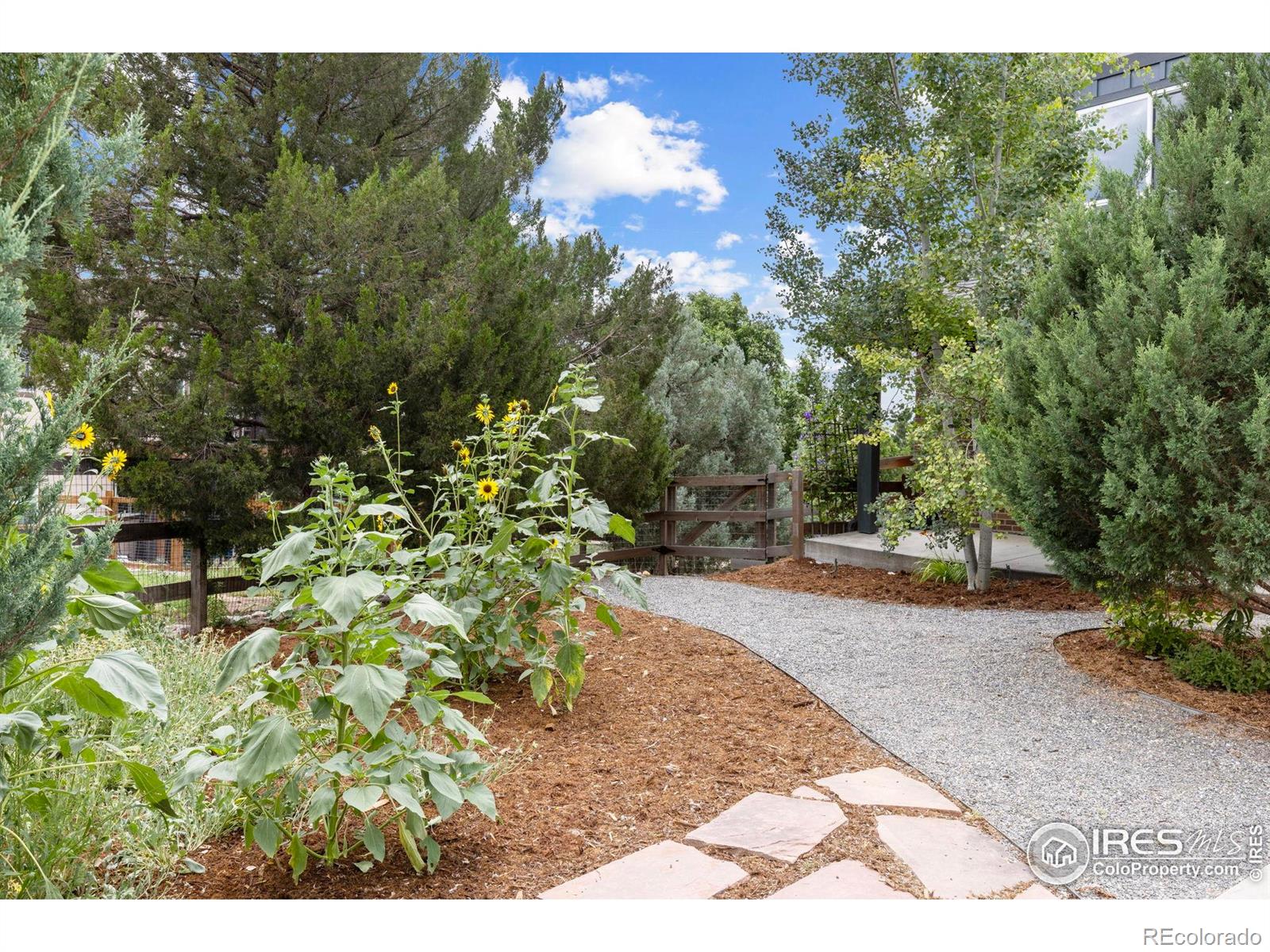 MLS Image #2 for 1070  northridge drive,erie, Colorado