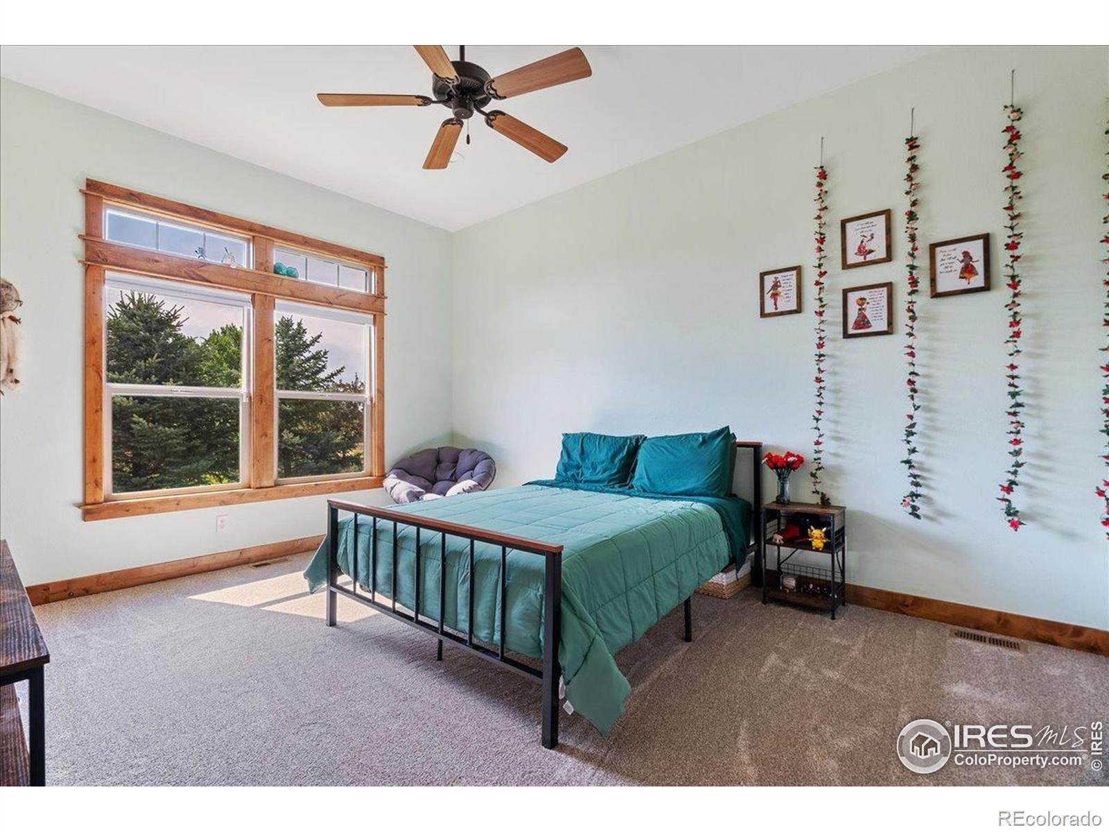 MLS Image #21 for 37054  soaring eagle circle,severance, Colorado