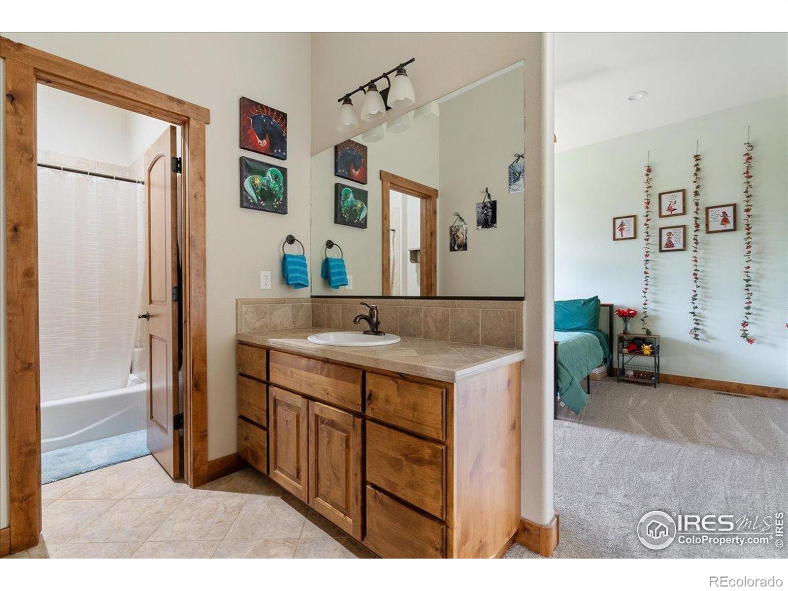 MLS Image #22 for 37054  soaring eagle circle,severance, Colorado