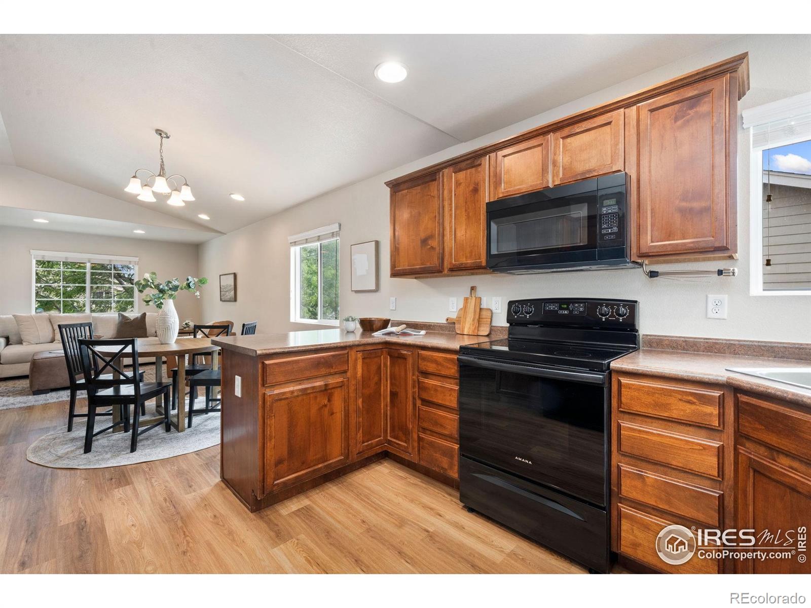 MLS Image #12 for 1879  gemini court,loveland, Colorado