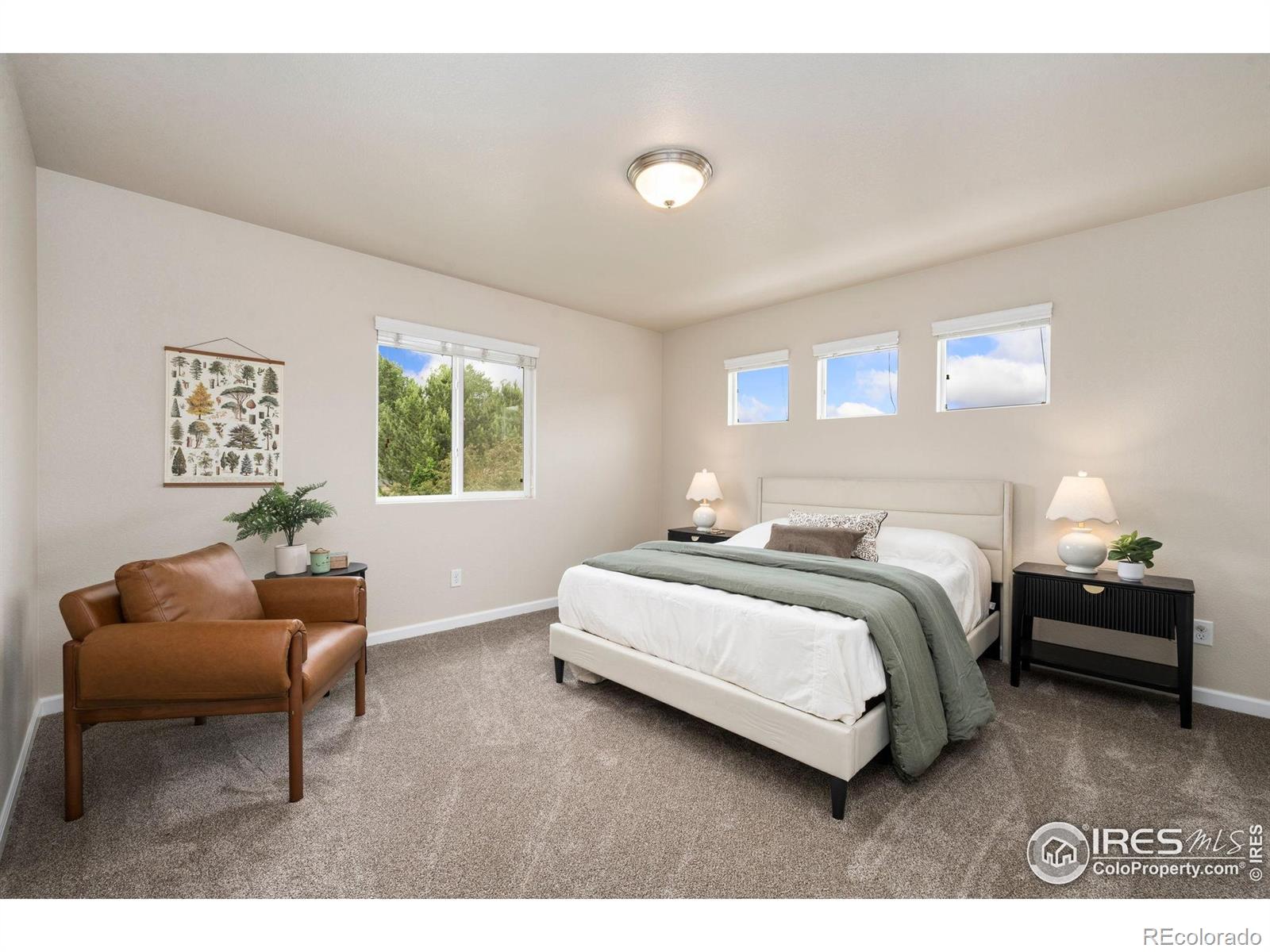 MLS Image #15 for 1879  gemini court,loveland, Colorado