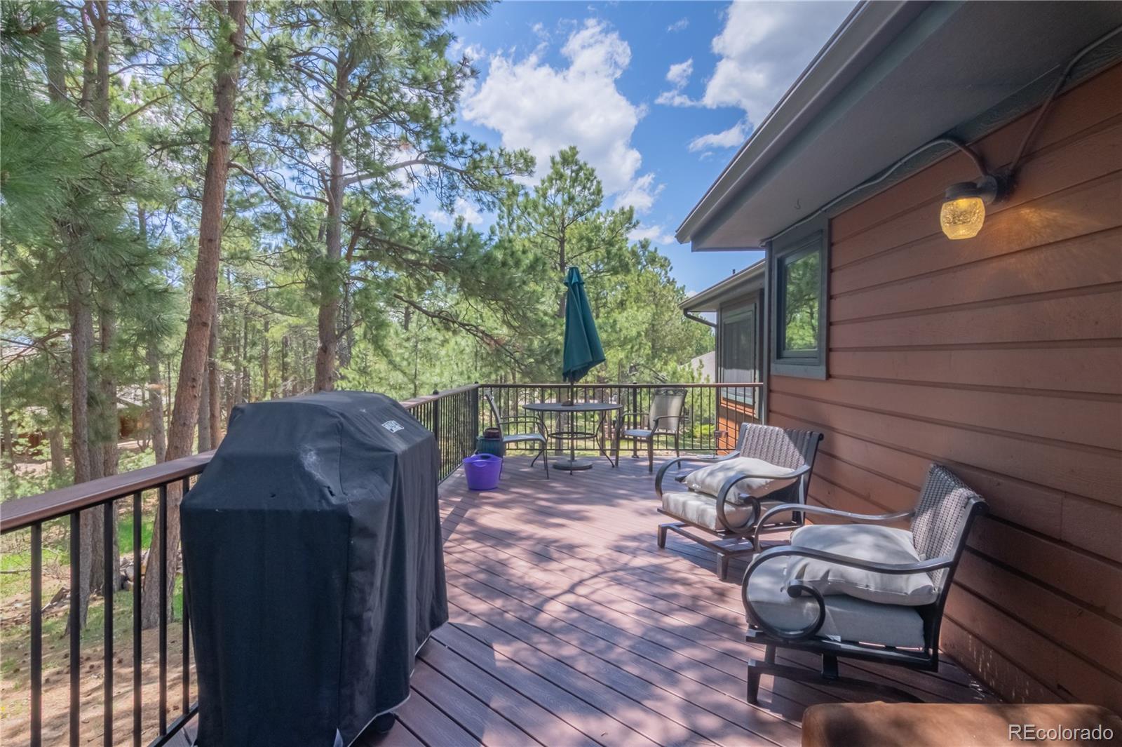 MLS Image #10 for 115 e kings deer point,monument, Colorado