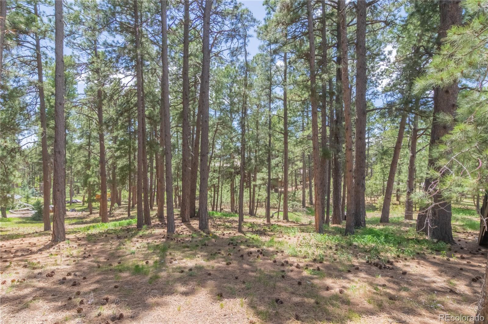 MLS Image #7 for 115 e kings deer point,monument, Colorado