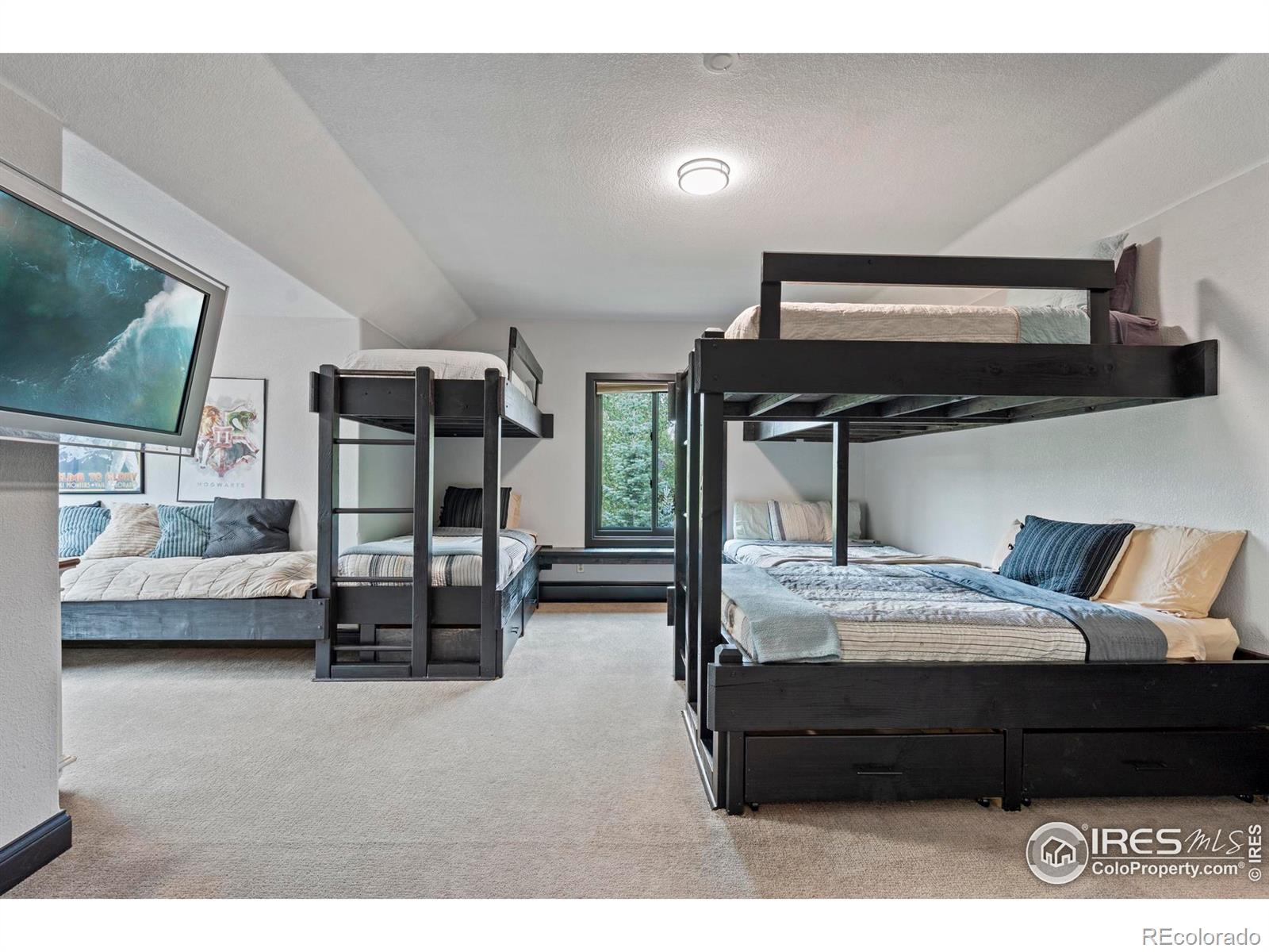 MLS Image #14 for 520  night chant lane,frisco, Colorado