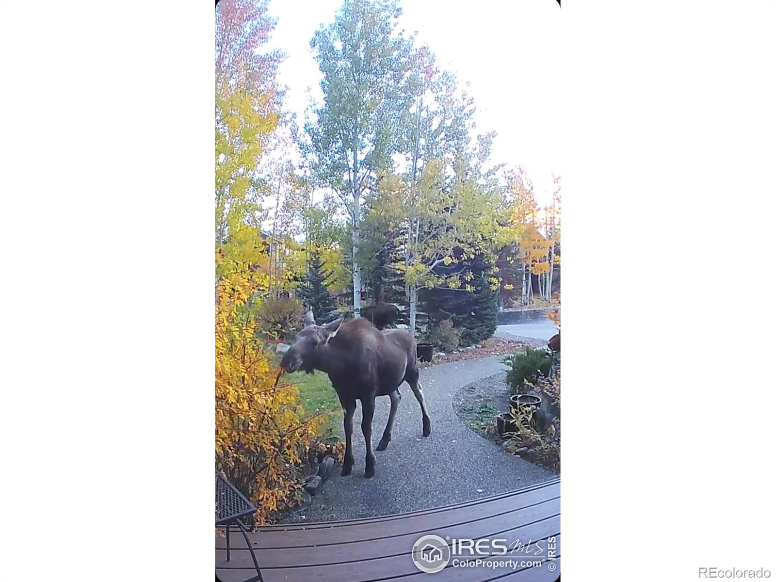 MLS Image #32 for 520  night chant lane,frisco, Colorado